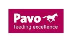 Pavo