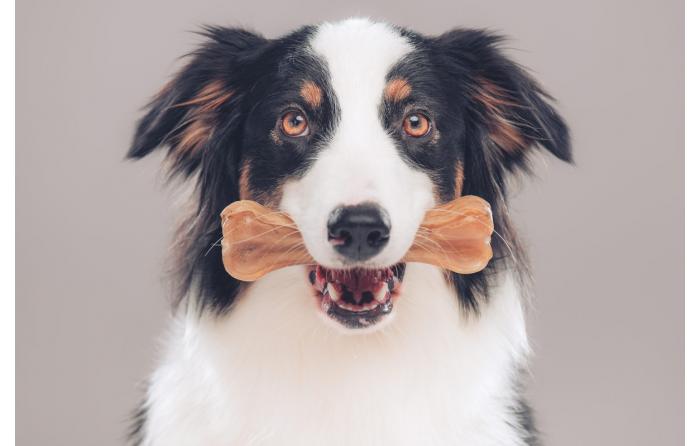 Kauprodukte fr den Hund