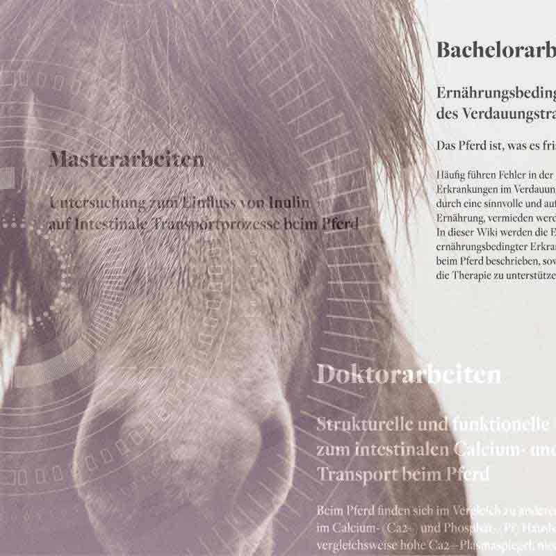 HippoSport-Abschlussarbeiten-Pferdewissenschaft