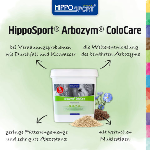 Infografik HippoSport Arbozym Colocare
