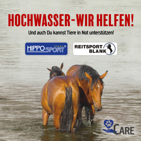 HippoSport-Hochwasserhilfe-Spendenaktion