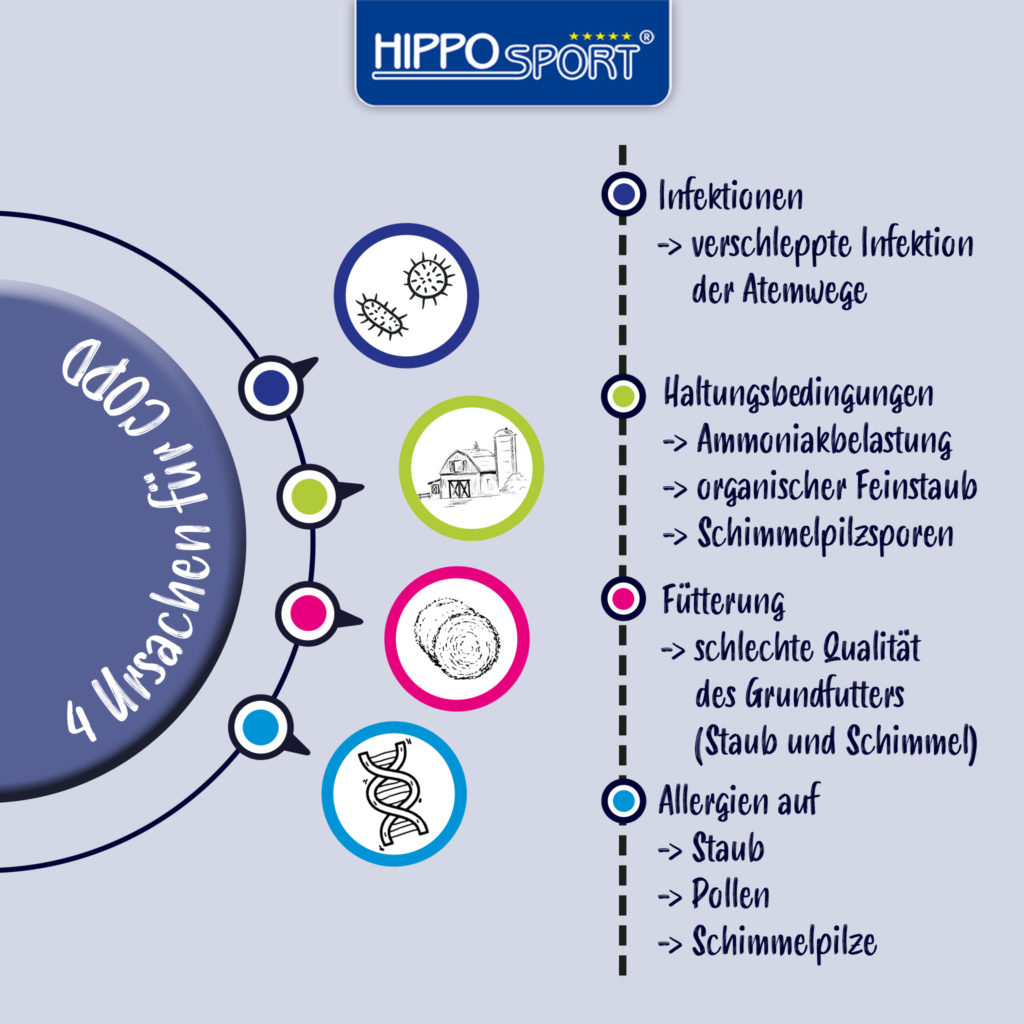 HippoSport-Infografik-COPD-Ursachen