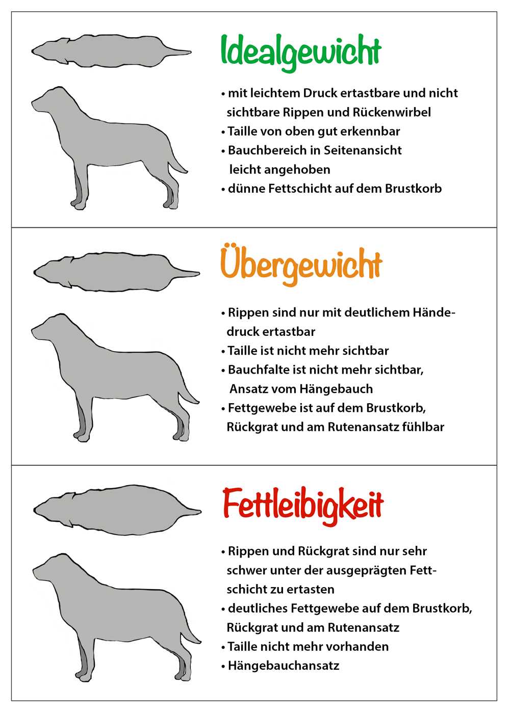 Infografik Hund Gewicht