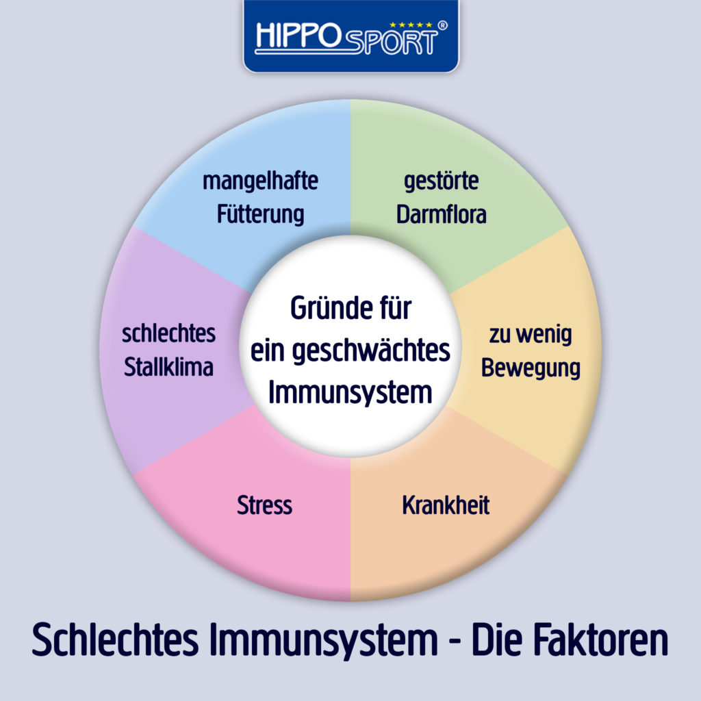 Faktoren-schlechtes-Immunsystem