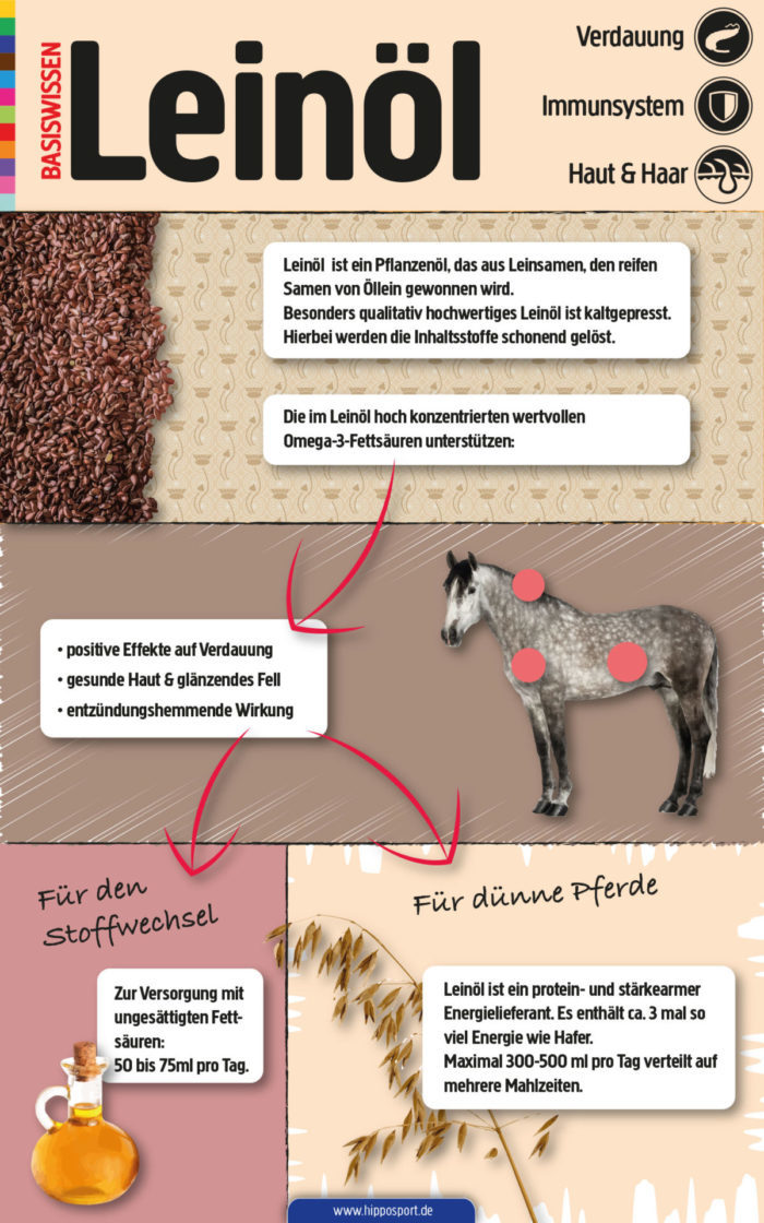 Leinöl-Pferd-Infografik