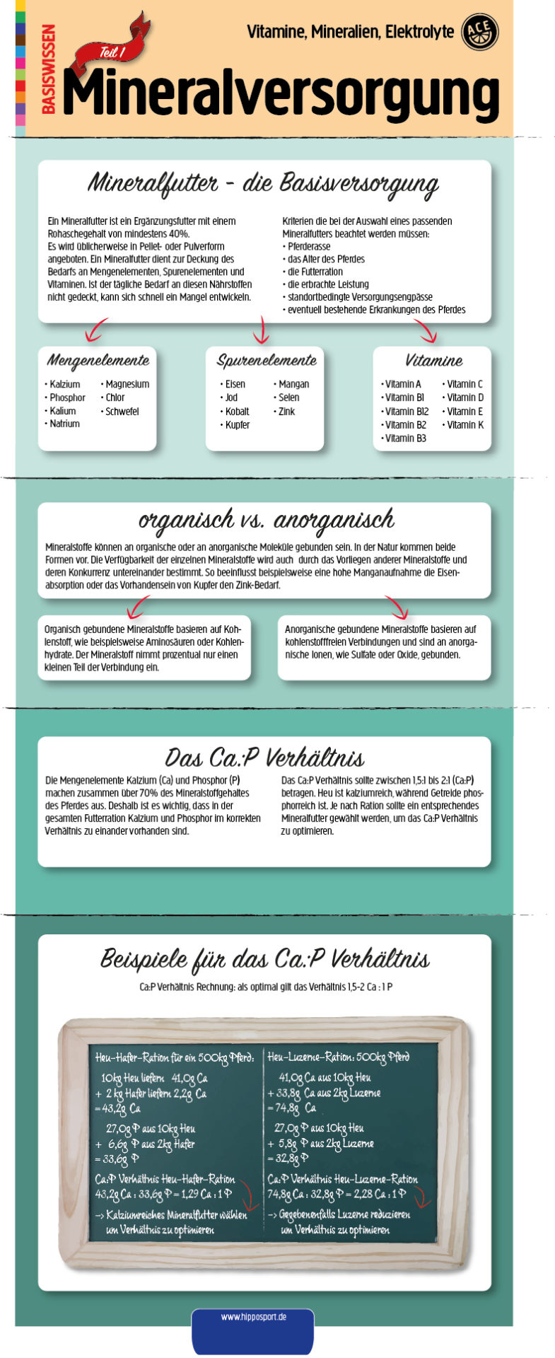 Mineralversorgung-Pferd-Infografik-Teil1