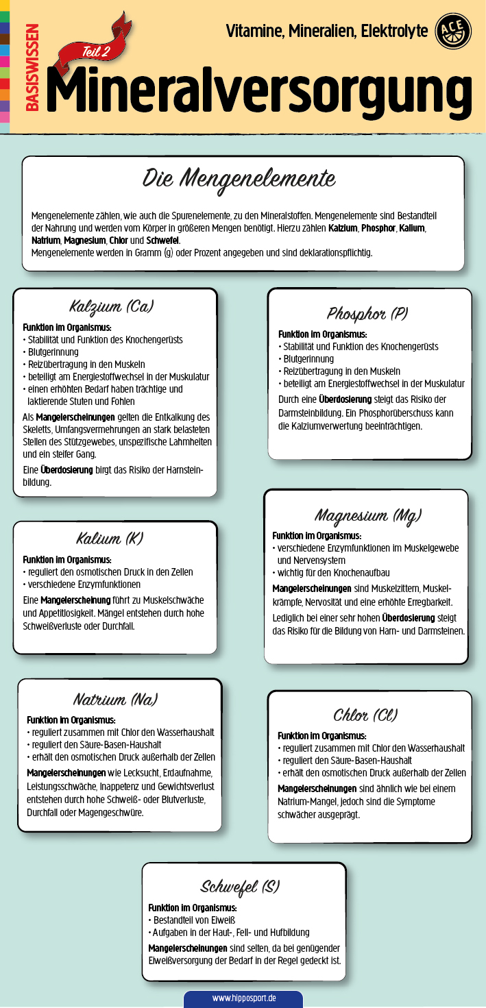 Mineralversorgung-Pferd-Infografik-Teil2