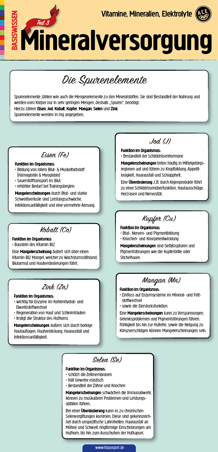 Mineralversorgung-Pferd-Infografik-Spurenelemente