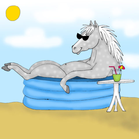 Pferdchen-Sommer-Pool