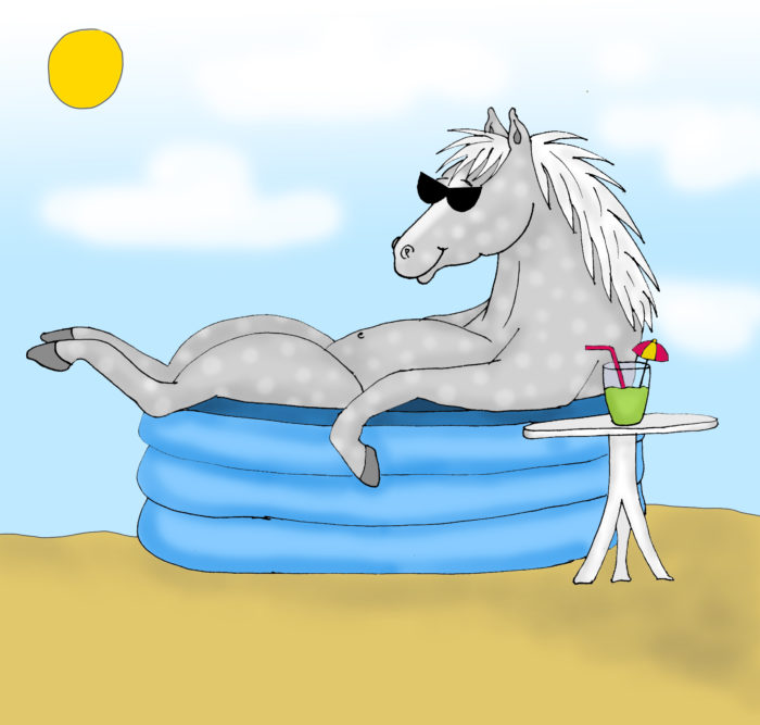 Pferdchen-Sommer-Pool