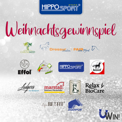 Pferdegewinnspiel Weihnachten