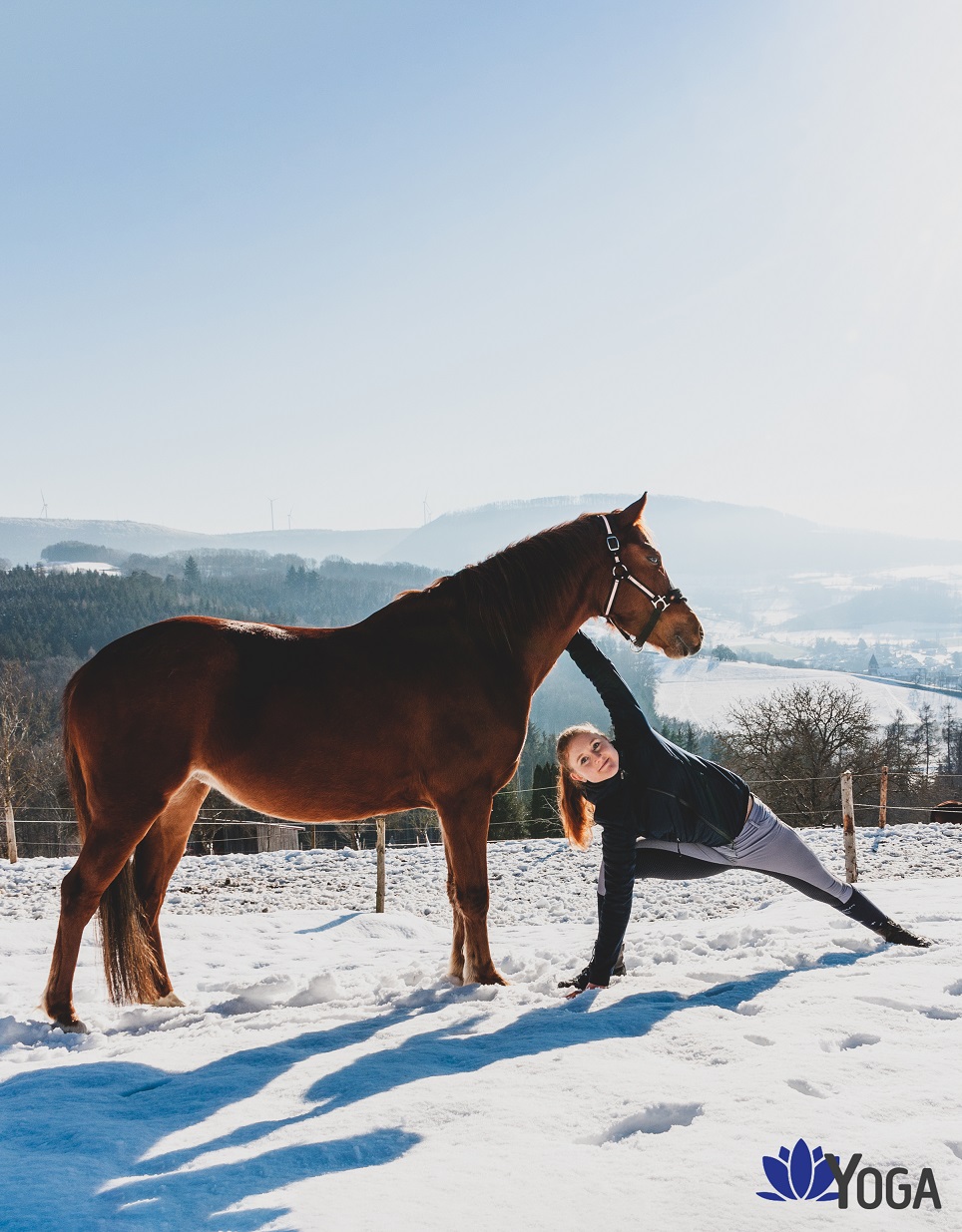 Yoga-Reiter-Seitlicher-Winkel-Extended-Side-Angle