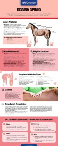 Infokarte zum Thema: Kissing Spines von HippoSport GmbH