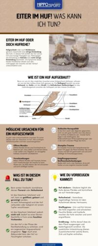 Infokarte zum Thema: Hufgeschwür beim Pferd von HippoSport GmbH