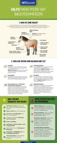 Infokarte zum Thema: Kolik beim Pferd von HippoSport GmbH