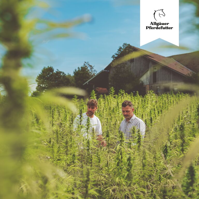 Allgäuer Pferdefutter
