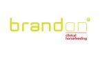 Brandon