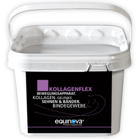 EQUINOVA Ergänzungsfutter KOLLAGENFLEX für...