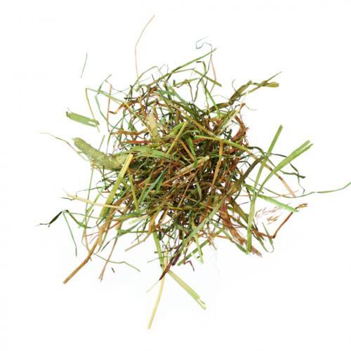 AGROBS Futter ALPENHEU fr Pferde 12,5kg