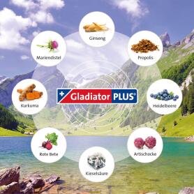 GLADIATOR Nahrungsergänzung GLADIATOR PLUS für den Mensch 1Liter