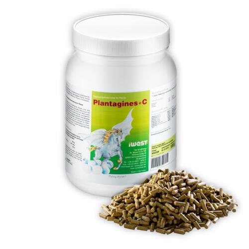 IWEST Ergänzungsfutter PLANTAGINES + C für Pferde 1kg