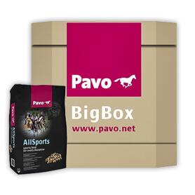PAVO Futter ALLSPORTS in BIG BOX 725kg