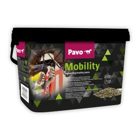 PAVO Ergänzungsfutter MOBILITY für Pferde 3kg