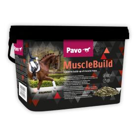 PAVO Ergänzungsfutter MUSCLEBUILD für Pferde 3kg