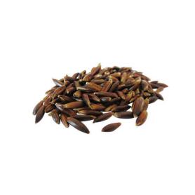 PAVO Futter SCHWARZHAFER für Pferde 20kg