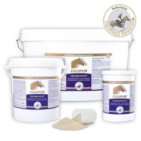 EQUIPUR Ergänzungsfutter RACEPOWER für Sportpferde 3kg