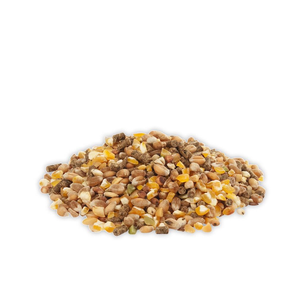 COUNTRYS BEST Futter GOLD 4 MIX für Hühner