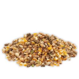 COUNTRYS BEST Futter GOLD 4 MIX für Hühner