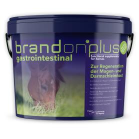 BRANDON PLUS Ergänzungsfutter GASTROINTESTINAL für Pferde 3kg