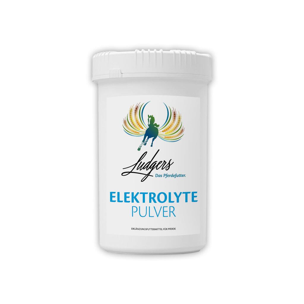 LUDGERS N Ergänzungsfutter ELEKTROLYTE PULVER für Pferde 2kg, 29,50
