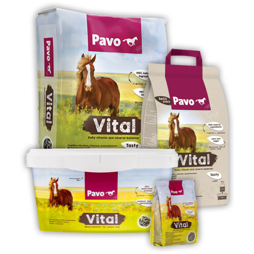 PAVO Mineralfutter VITAL für Pferde 200g Probe