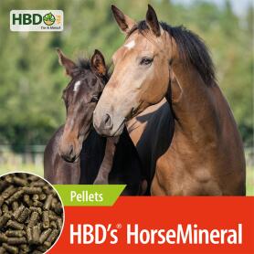 HBDS Mineralfutter HORSEMINERAL PELLETIERT für Pferde