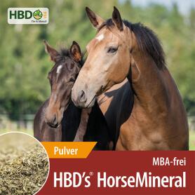 HBDS Mineralfutter HORSEMINERAL OHNE M, A, BT für Pferde
