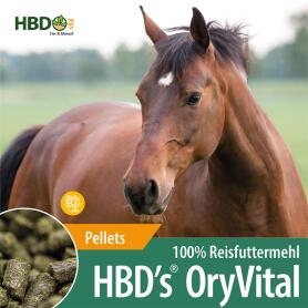 HBDS Futter ORY VITAL REISFUTTERMEHL für Pferde 10kg