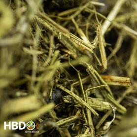 HBDS Futter STRUKTURVIT für Pferde 15kg
