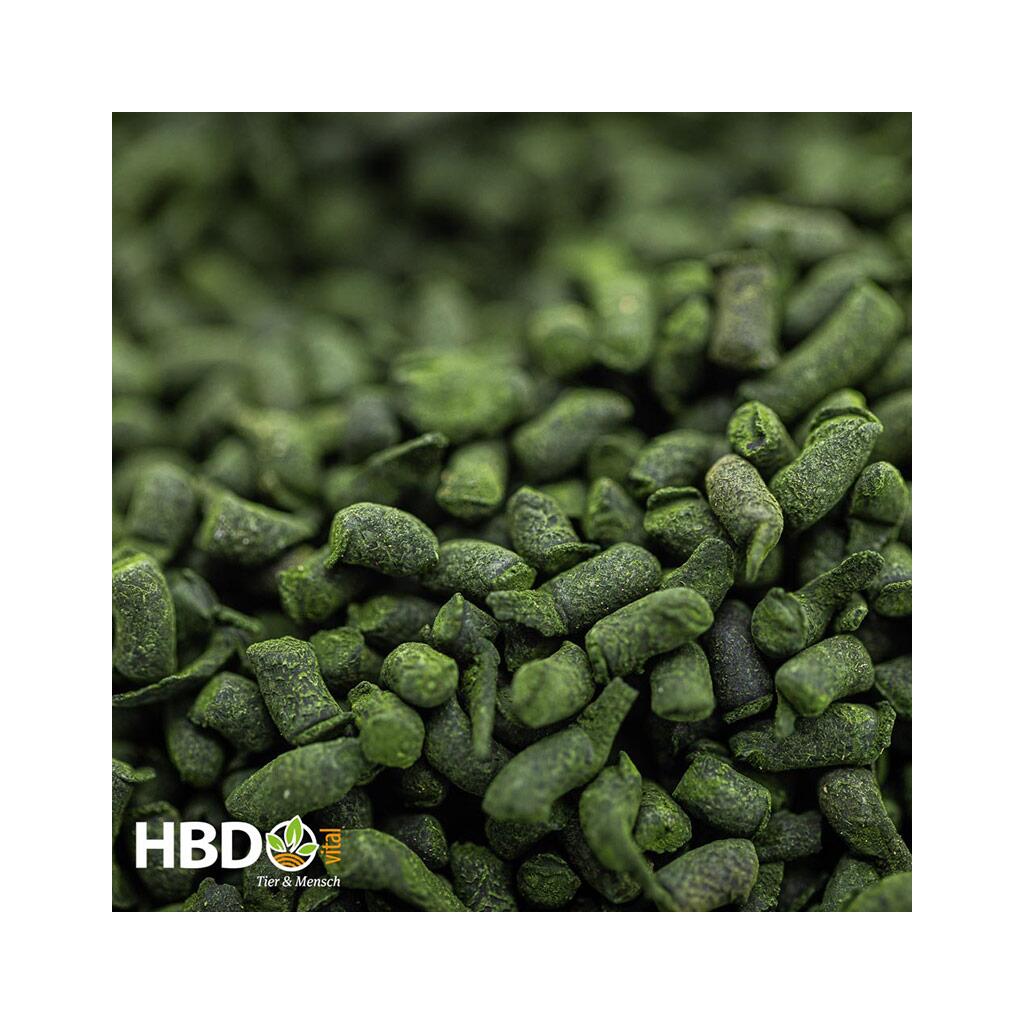 HBDS Ergänzungsfutter CHLORELLA für Pferde