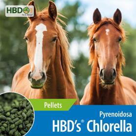 HBDS Ergänzungsfutter CHLORELLA für Pferde