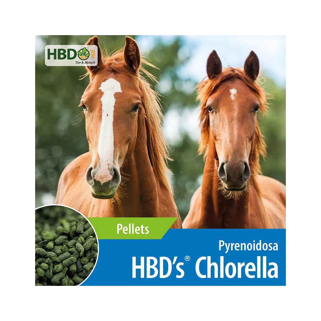HBDS Ergänzungsfutter CHLORELLA für Pferde 500g