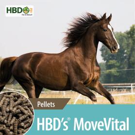 HBDS Ergänzungsfutter MOVE VITAL für Pferde