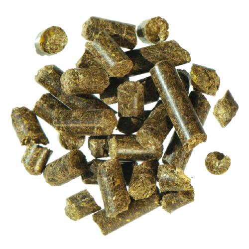 AGROBS Futter ALPENGRN PELLET fr Pferde 20kg