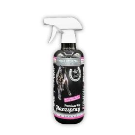 GO! Pflegemittel PREMIUM TOP GLANZSPRAY GIRLZ für...