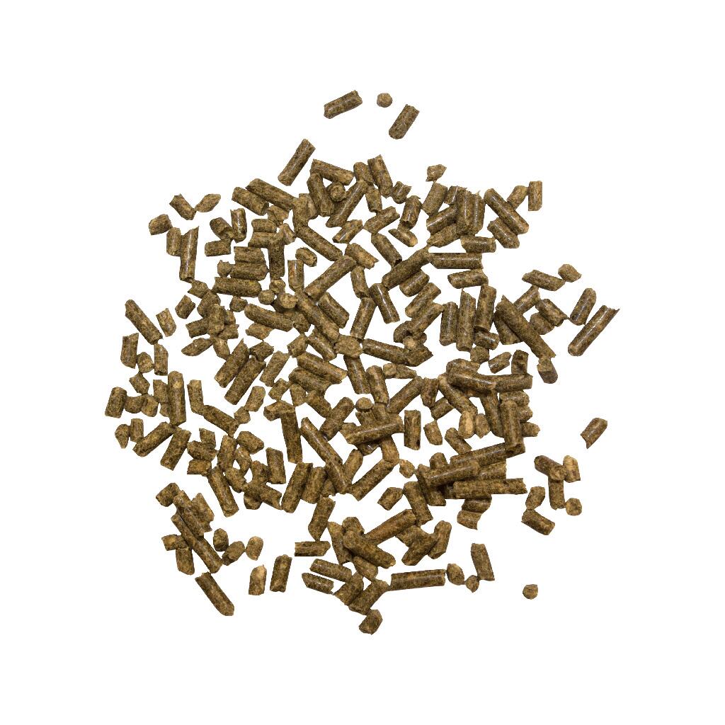 MARSTALL Ergänzungsfutter DARM-REGULATOR für Pferde 9kg