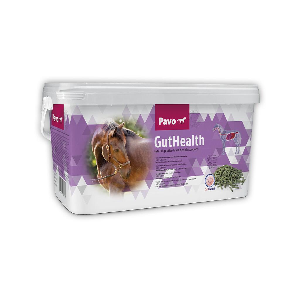 PAVO Ergänzungsfutter GUTHEALTH für Pferde 7,5kg