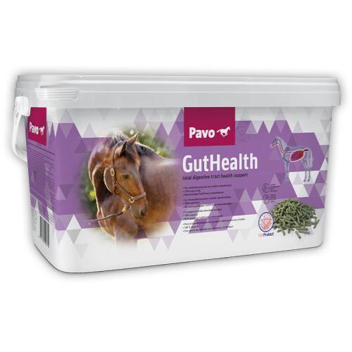 PAVO Ergänzungsfutter GUTHEALTH für Pferde 7,5kg