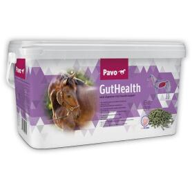 PAVO Ergänzungsfutter GUTHEALTH für Pferde 7,5kg