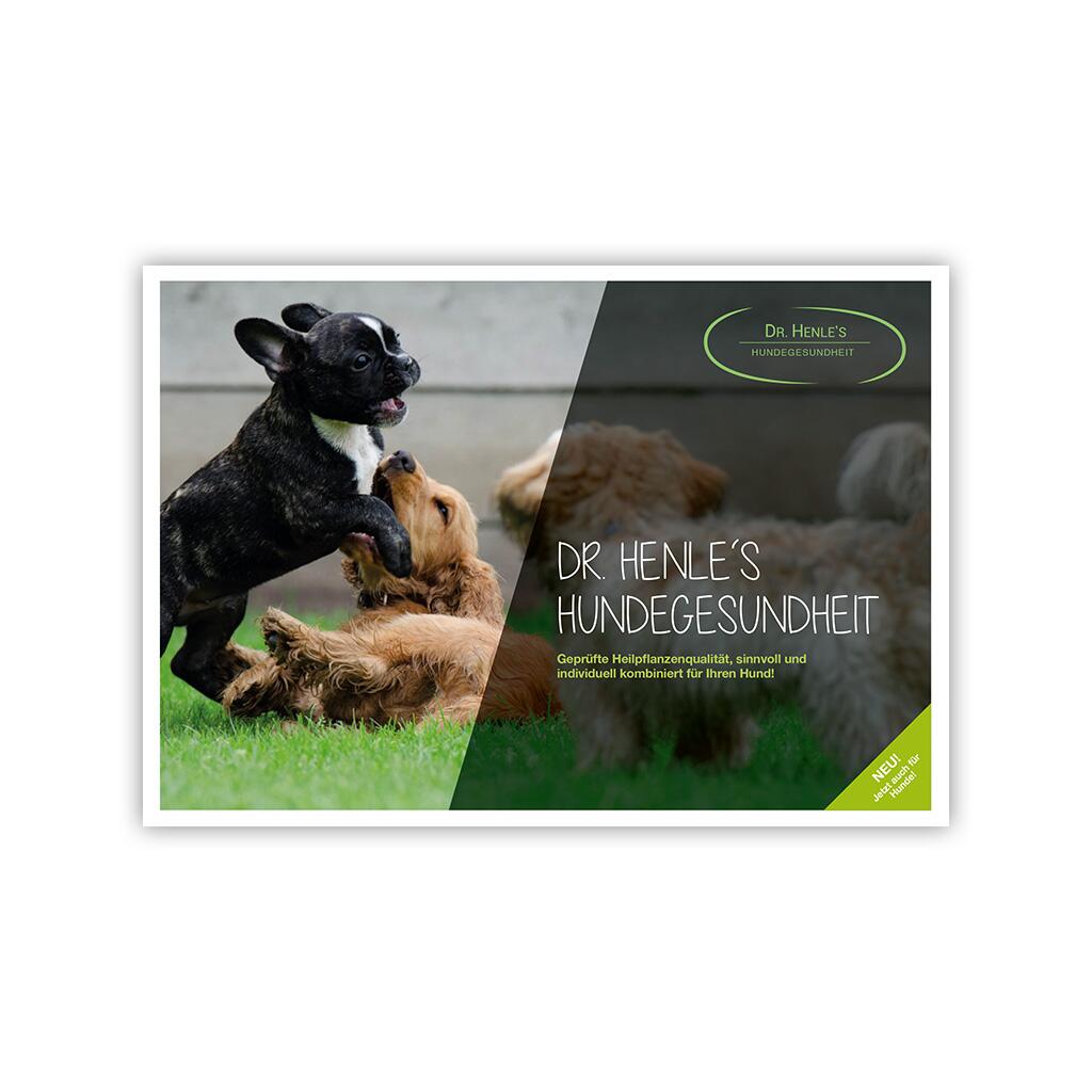 DR. HENLES Zubehör KATALOG HUNDEGESUNDHEIT